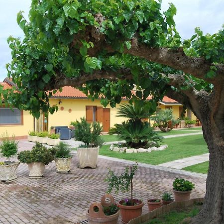 Borgo Montenero Le Terre Di Bac Bed & Breakfast エクステリア 写真