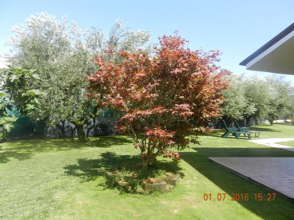 Borgo Montenero Le Terre Di Bac Bed & Breakfast エクステリア 写真