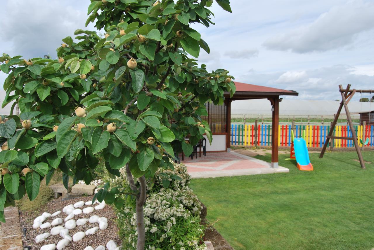 Borgo Montenero Le Terre Di Bac Bed & Breakfast エクステリア 写真